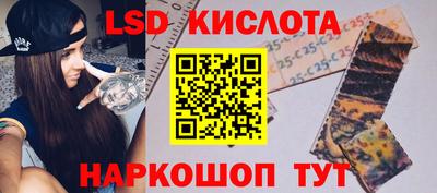 мяу мяу мука Будённовск