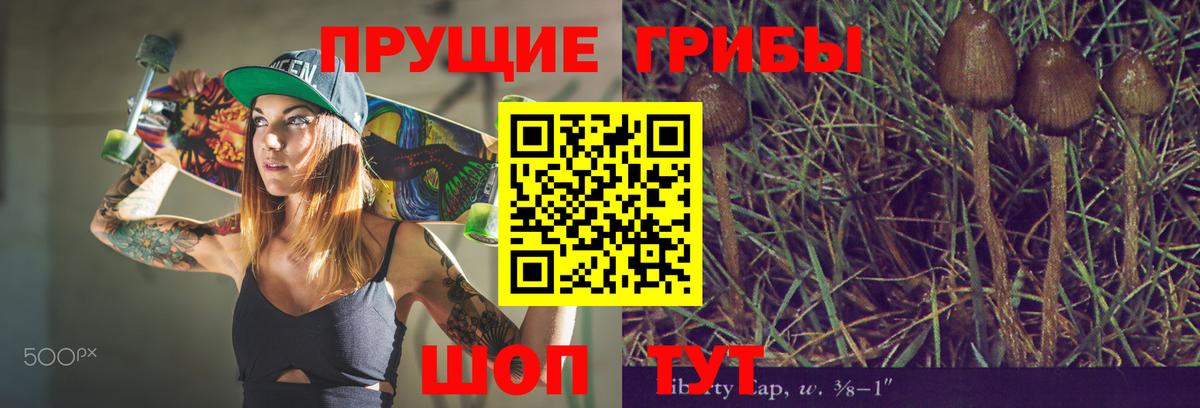 Галлюциногенные грибы Psilocybine cubensis Солнечногорск