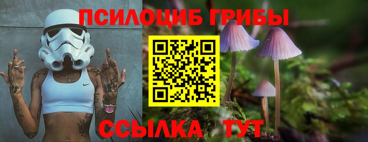 Галлюциногенные грибы прущие грибы  Вход с VPN  Солнечногорск  Галлюциногенные грибы прущие грибы 